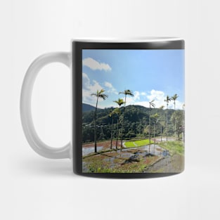 Rizières en terrasses Banaue, Philippines Mug